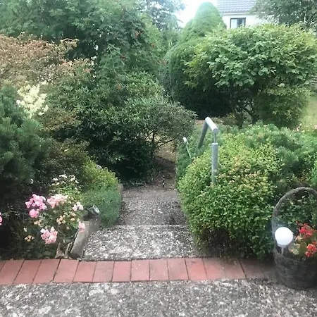 Bright House With A Beautiful Garden
