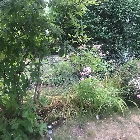 Bright House With A Beautiful Garden 度假居 伊塞尔恩哈根